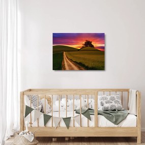 Sklenený obraz poľa pri západe slnka (70x50 cm)