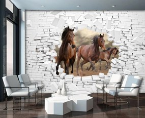 Fototapeta - 3D kone v stene (254x184 cm)
