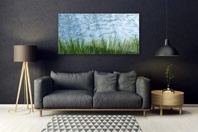 Obraz plexi Tráva voda príroda 120x60 cm