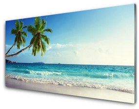 Skleneny obraz More pláž palma krajina 100x50 cm