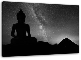 Obraz na plátně Buddhova polární záře černobílý - 100x70 cm