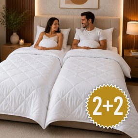 2x paplón a 2x vankúš antialergická súprava Homa 140x200 cm celoročná