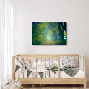 Obraz cesty lemovanej stromami (90x60 cm)