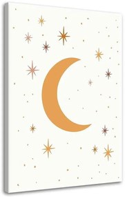 Gario Obraz na plátne Hviezdna noc Rozmery: 40 x 60 cm