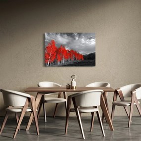 Obraz - Stromy vo farbe jesene (90x60 cm)