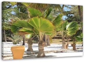 Obraz na plátně Tropická krajina Příroda - 60x40 cm