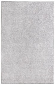 Svetlosivý koberec Hanse Home Pure, 140 x 200 cm