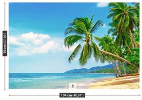 Fototapeta Vliesová Palm beach 416x254 cm