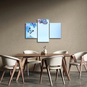 Obraz - Motýľ na kvetoch orchidey, modrý (90x60 cm)