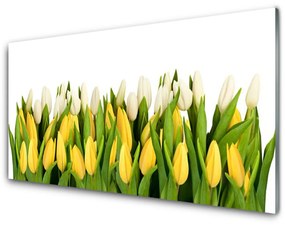 Obraz na akrylátovom skle Tulipány kvety rastlina 125x50 cm