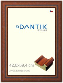 DANTIK rám na obraz 42x59,4 | ANGLIE hnědá (Plexi Čiré)