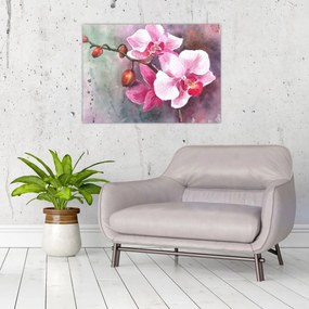 Obraz - Orchidey, aquarel (70x50 cm)
