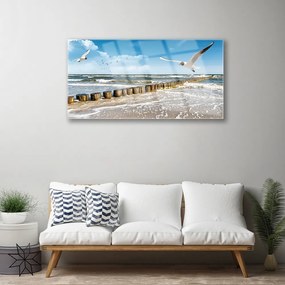 Skleneny obraz Čajky more príroda 120x60 cm