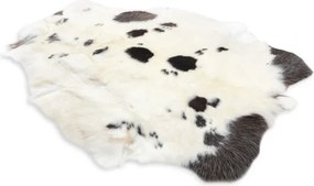 Koberec RENIFER POK007 krémový / sivý