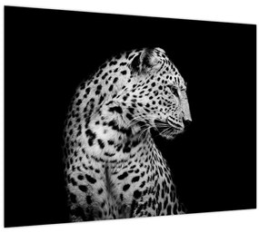 Sklenený obraz - Leopard (70x50 cm)