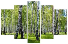Obraz na plátně pětidílný Březový les - 100x70 cm
