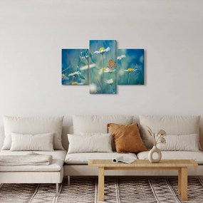 Obraz - Motýľ na sedmokráske (90x60 cm)