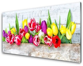 Obraz plexi Tulipány kvety príroda 140x70 cm