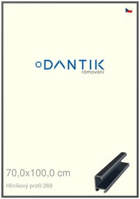 DANTIK rám na obraz 70x100 | ALU Šedá Oplal broušená (Plexi Čiré)