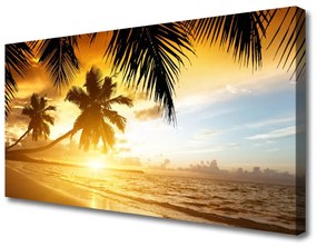 Obraz Canvas Pláž palma more krajina 100x50 cm