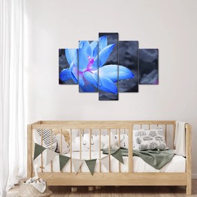 Obraz kvetu v detaile (150x105 cm)