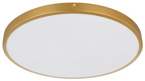 Globo 12381-30 - LED Stropné svietidlo TIBEY LED/30W/230V pr. 45 cm