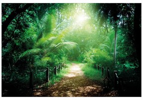 Samolepiaca fototapeta cestička na ostrove Seychely