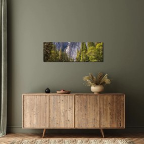 Obraz - Pod Yosemite skalou (s hodinami) (90x30 cm)