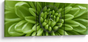 Obraz - Makro snímka rastliny (s hodinami) (90x30 cm)