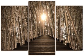 Obraz na plátne - Drevená promenáda v bambusovom lese 1172FC (105x70 cm)