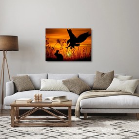 Sklenený obraz siluety dravca (70x50 cm)