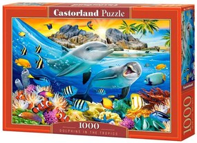 Castorland Puzzle 1000 el. Delfíny v trópoch