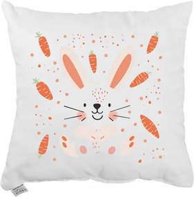 Dekoratívny vankúš Carrots 40x40 cm EMI