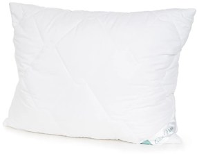 4Home Set prikrývky a vankúša Aloe Premium, 140 x 220 cm, 70 x 90 cm