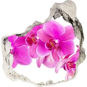 Diera 3D fototapety nálepka Ružová orchidea nd-p-67673367