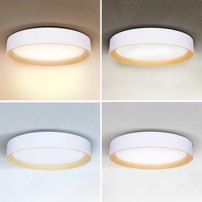 Brilagi -LED Stmievateľné svietidlo LARIOS LED/48W/230V 3000-6500K ø 39 cm biela+DO