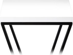 STOJAN NA KVETINÁČ LOFT6 100X24X24 CM ČIERNA/BIELA