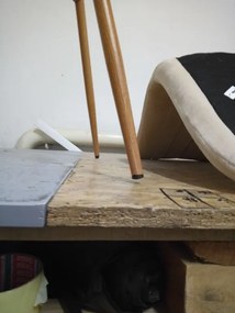 AKCIA Krémová zamatová stolička LAVA II. akosť