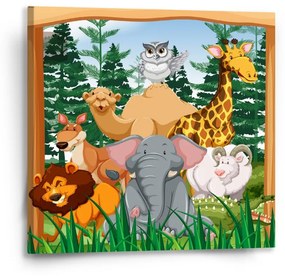 Sablio Obraz Zoo - 50x50 cm