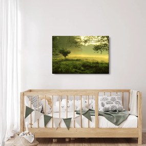 Obraz - Prebúdzajúci sa les (90x60 cm)