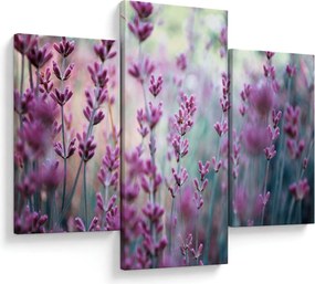 Obraz - Levanduľa (90x60 cm)