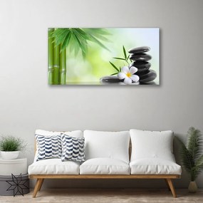Obraz na plátne Bambus stonka kvet rastlina 140x70 cm