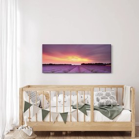 Obraz - Levanduľové pole (120x50 cm)