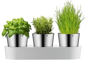 Súprava 3 antikoro kvetináčov na bylinky WMF Gourmet