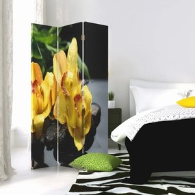 Ozdobný paraván, Žlutá orchidej - 110x170 cm, trojdielny, obojstranný paraván 360°
