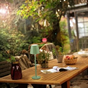 Leuchten Direkt 19250-43 - LED Vonkajšia nabíjacia lampa EURIA LED/3W/5V IP54