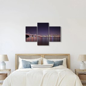 Obraz pohľadu na San Francisco, California (90x60 cm)