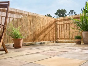 LIVARNO home Tieniaca clona z trstiny, 1 x 6 m  (100371984)