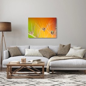 Sklenený obraz kvapiek na rastline (70x50 cm)