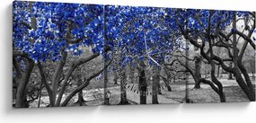 Obrázok - Modré stromy, Central Park, New York (s hodinami) (90x30 cm)
